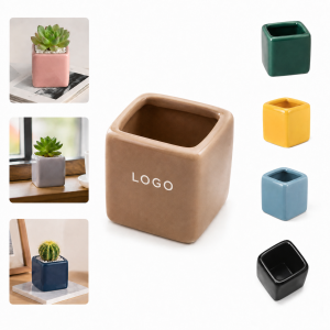 Mini Glazed Ceramic Plant Pot